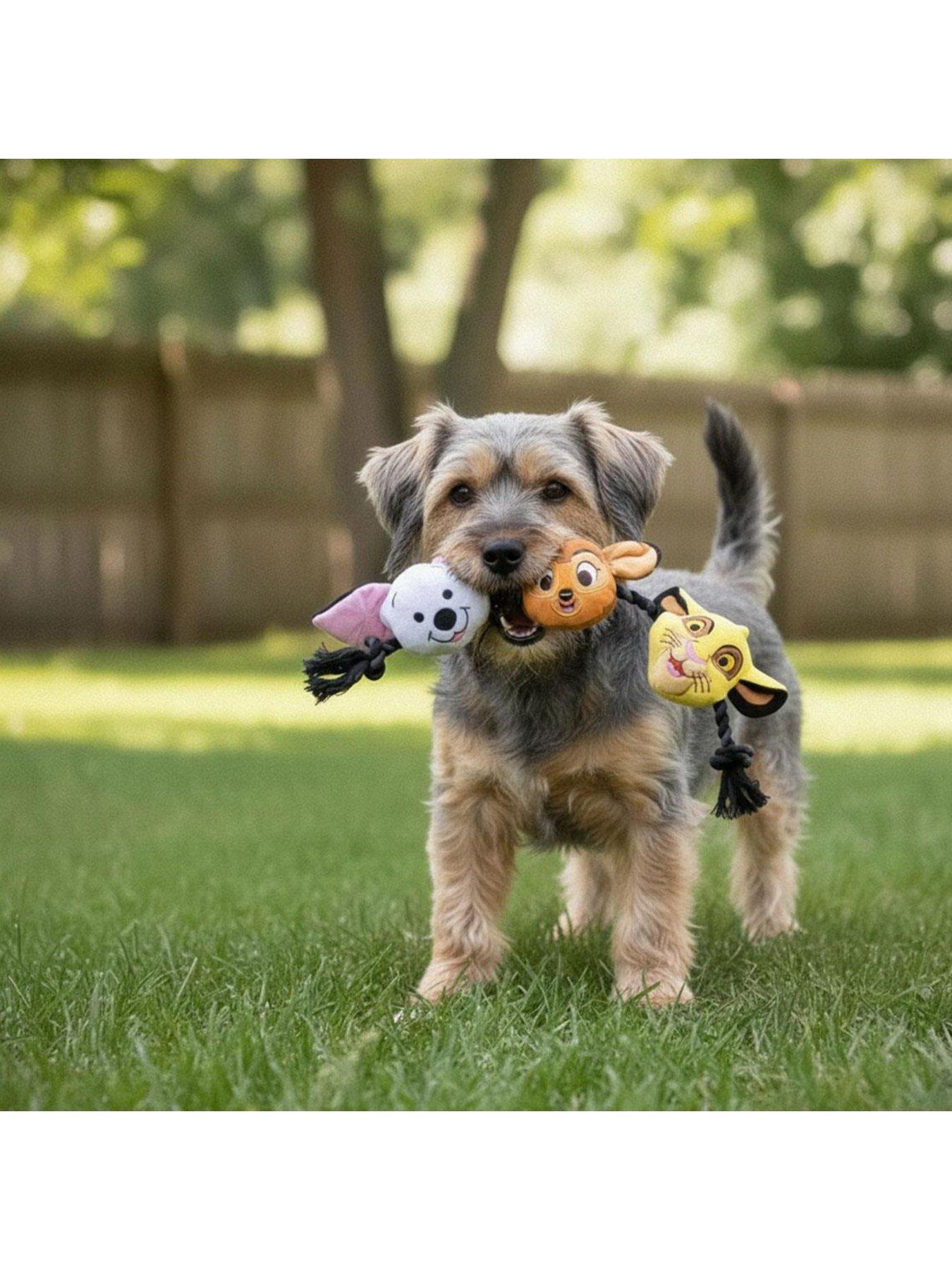 Image 2 of 4 of Disney Rope Toy