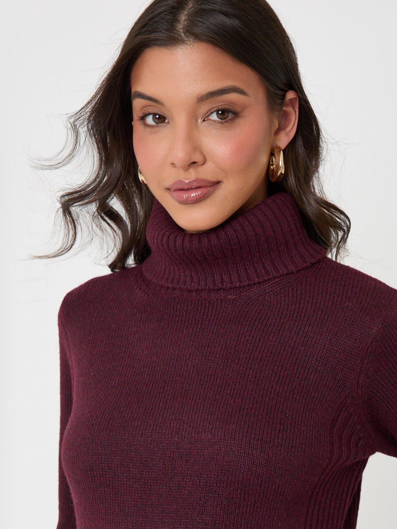 Image 4 of 5 of Threadbare Turtle Neck Maxi Jumper Dress In Plum