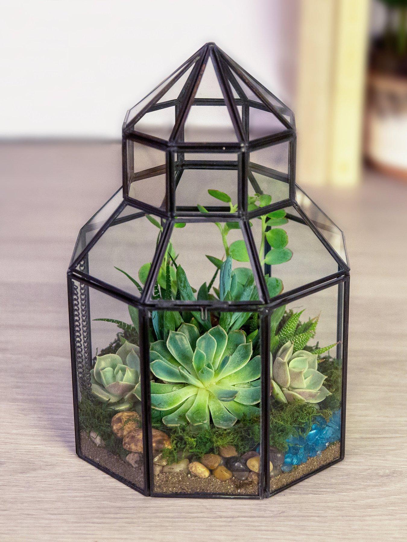 Image 1 of 3 of Panacea Glass Conservatory Terrarium