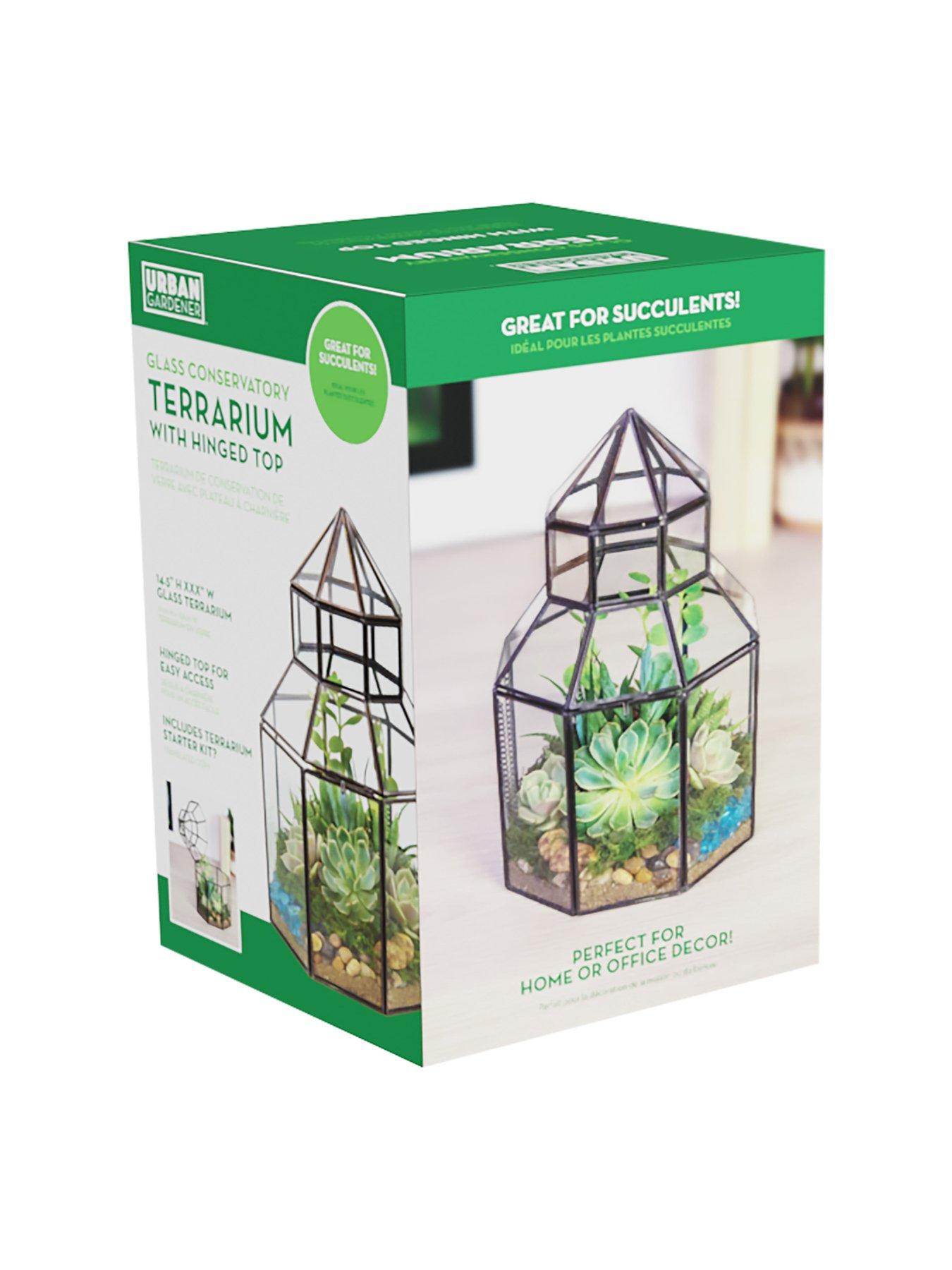 Image 3 of 3 of Panacea Glass Conservatory Terrarium