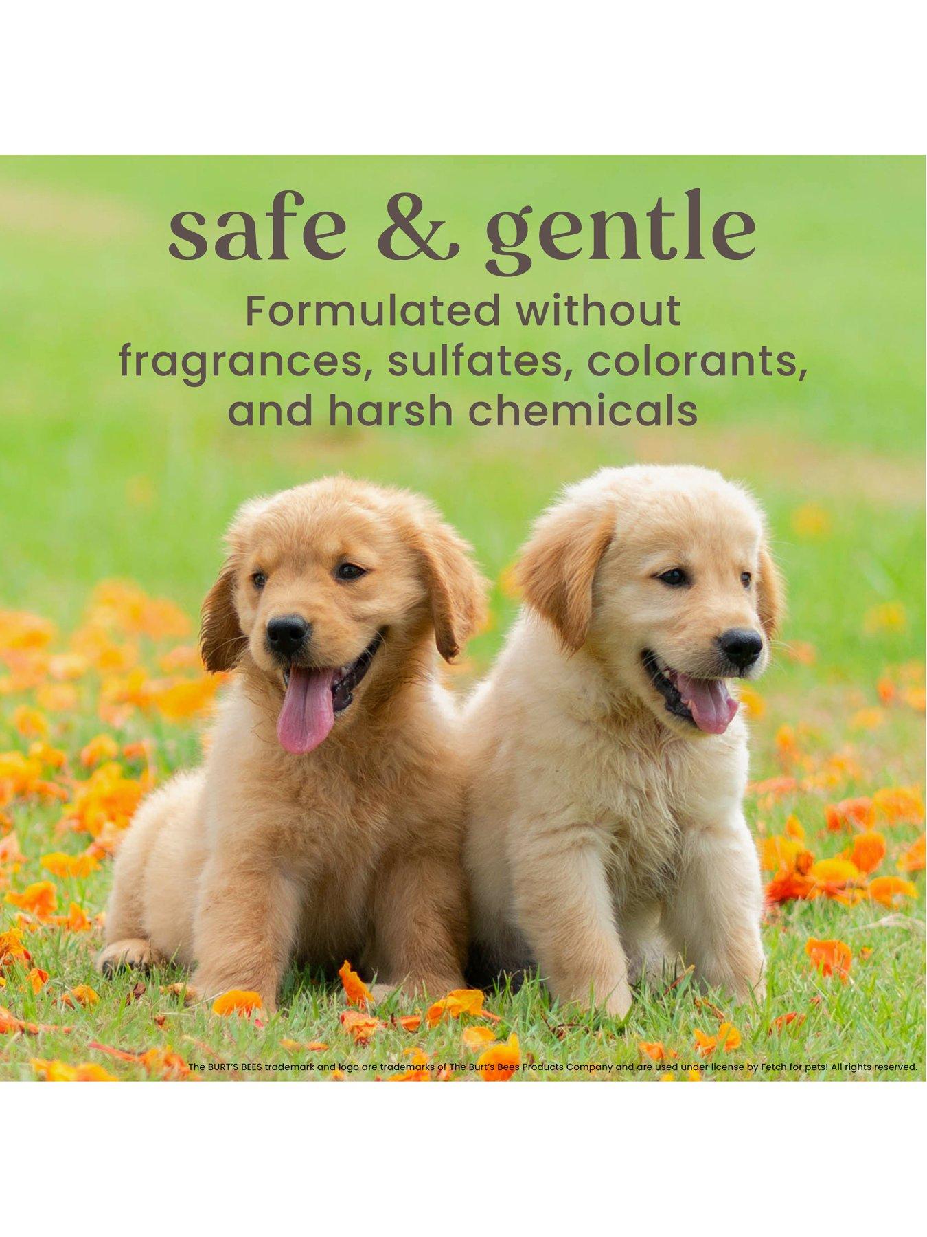 Image 4 of 4 of Burts Bees Tearless 2 in 1 Shampoo and Conditioner for Puppies with Buttermilk &amp; Linseed Oil, 16 Ounces