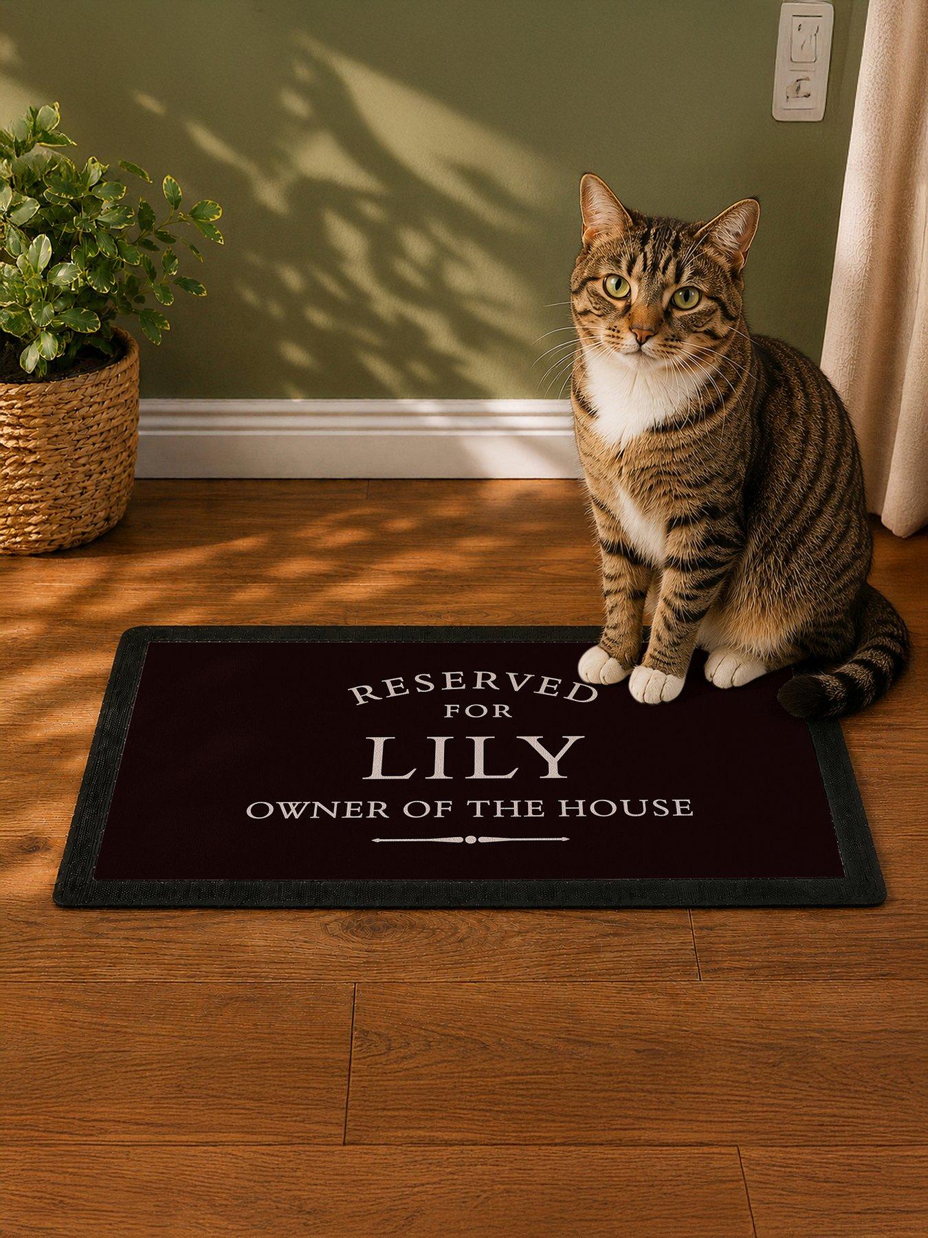 Image 3 of 4 of The Personalised Memento Company Personalised Reserved For Pet Bowl Mat