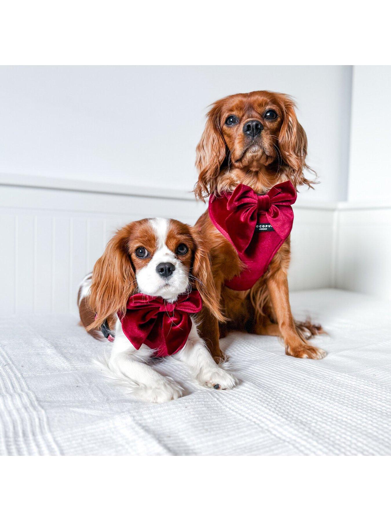 Image 2 of 3 of Cocopup Berry Red SAILOR BOW TIE