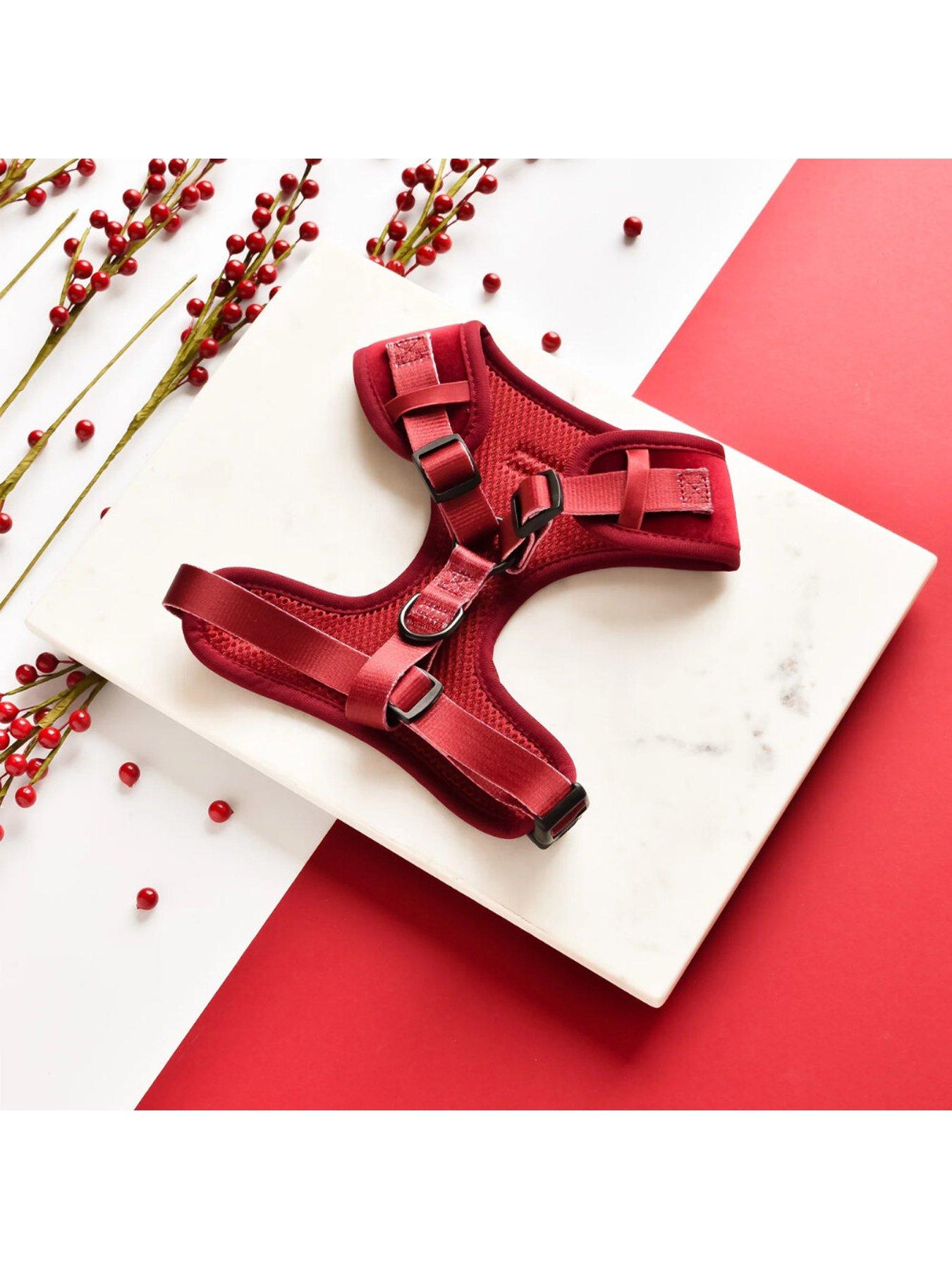 Image 2 of 6 of Cocopup Berry Red Harness XS