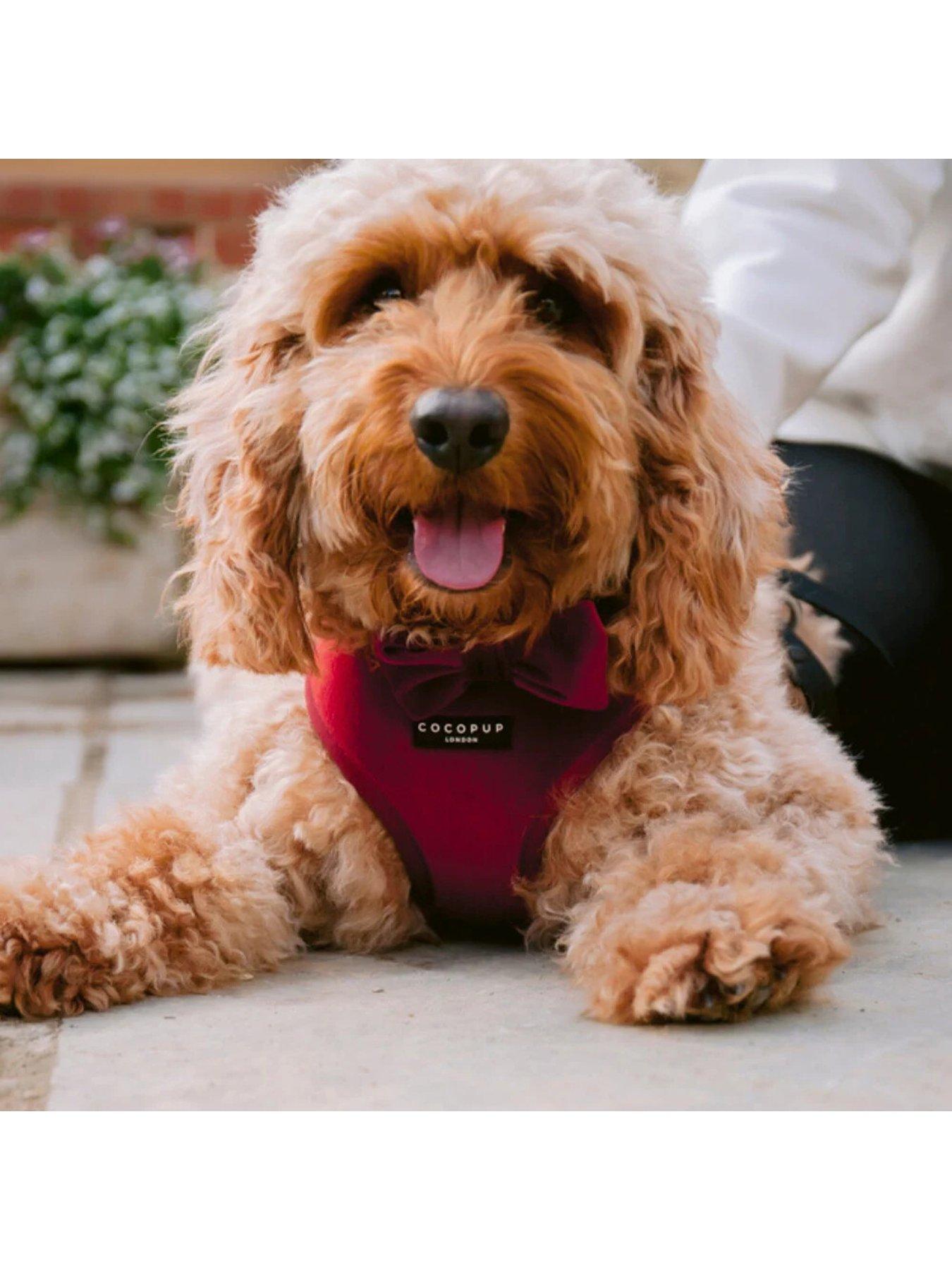 Image 3 of 6 of Cocopup Berry Red Harness XS