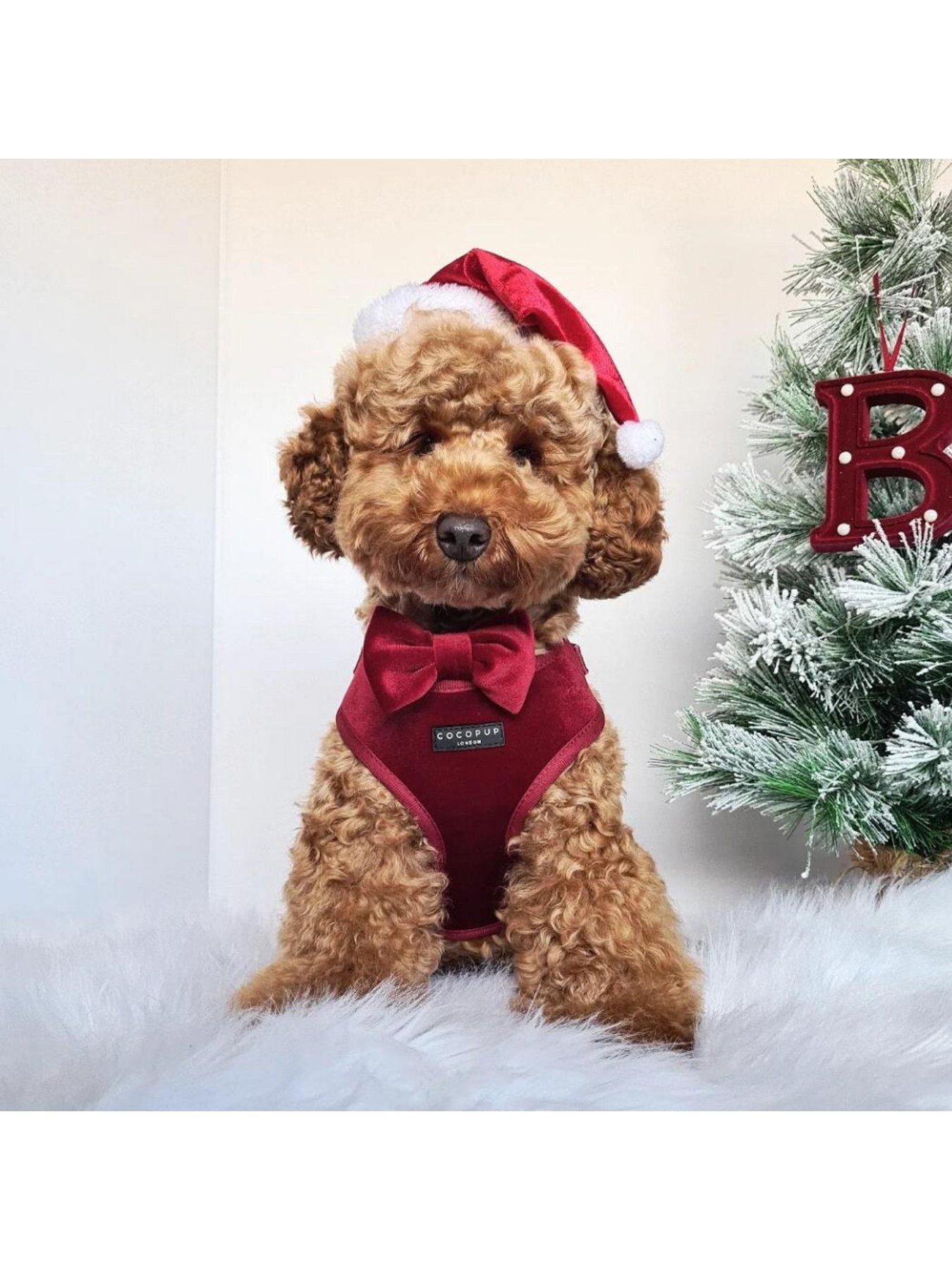 Image 4 of 6 of Cocopup Berry Red Harness XS