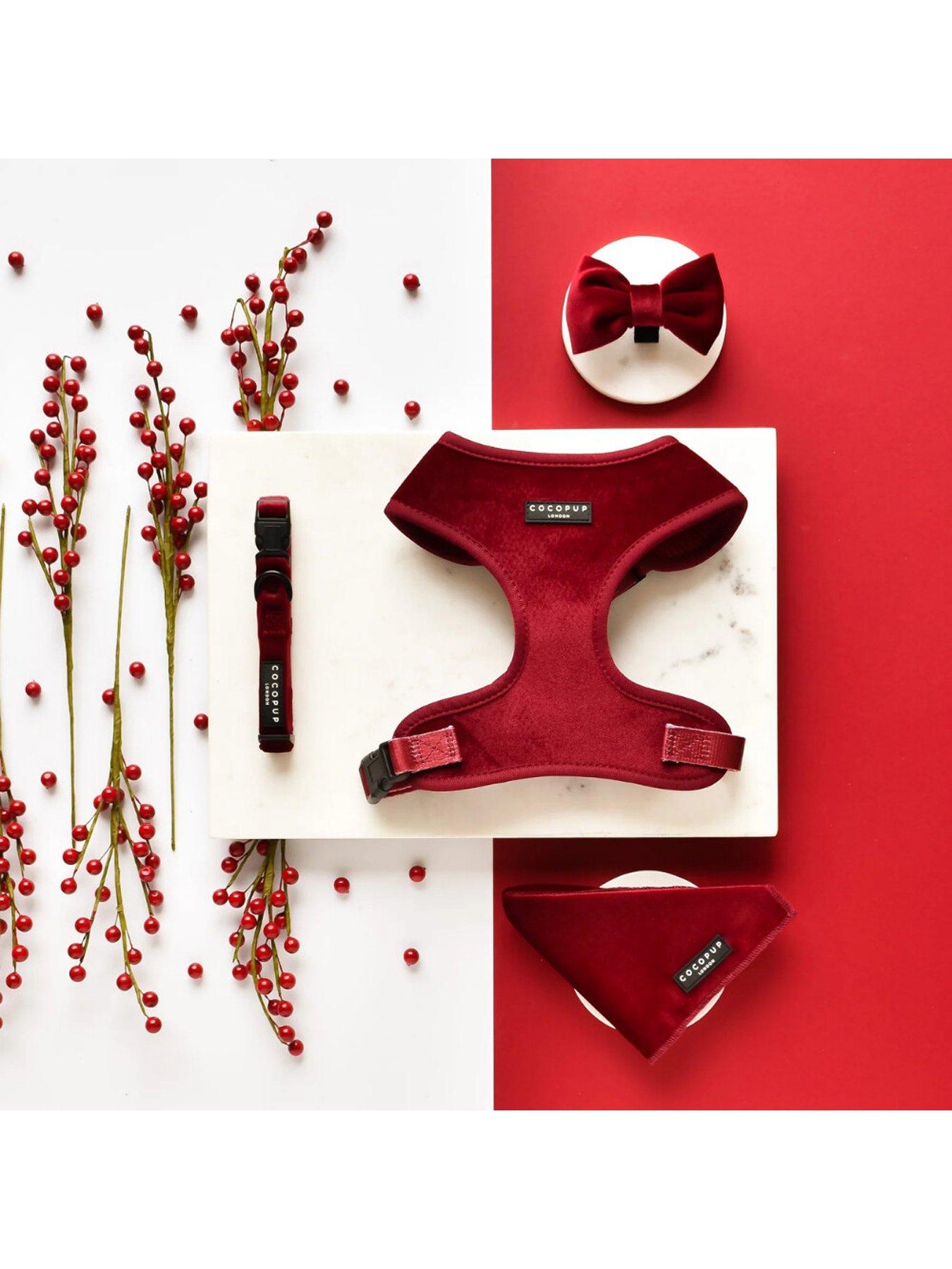 Image 5 of 6 of Cocopup Berry Red Harness XS