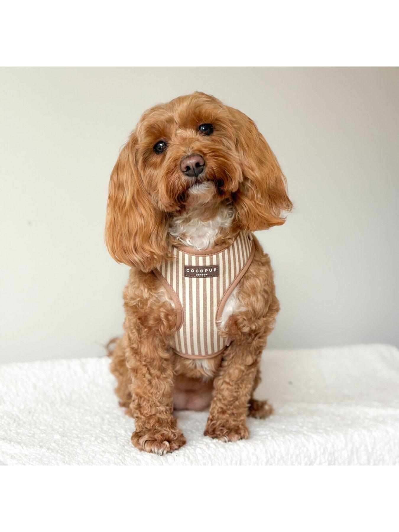 Image 4 of 5 of Cocopup London Linen Harness - M