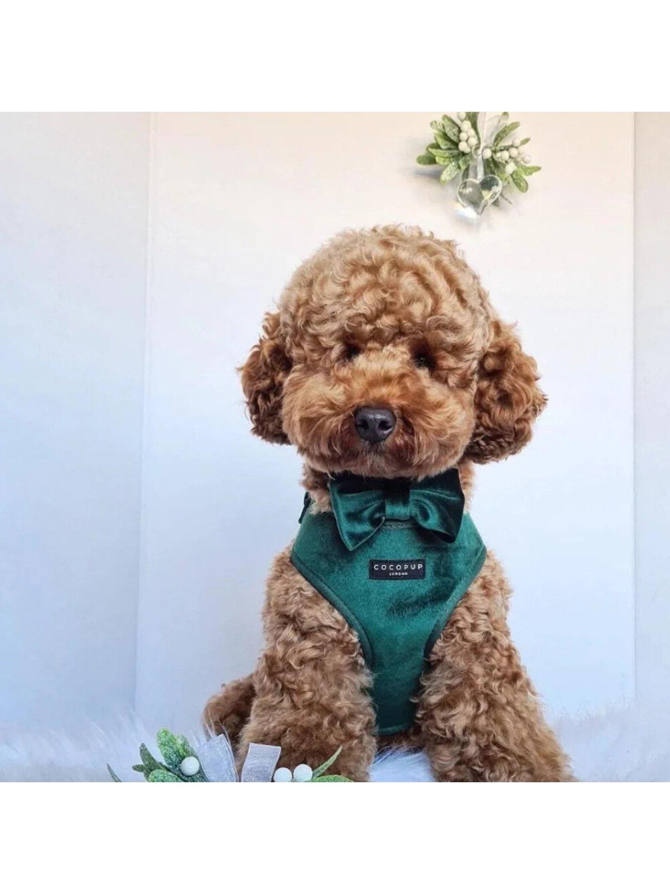 Image 4 of 6 of Cocopup Forest Green Harness S