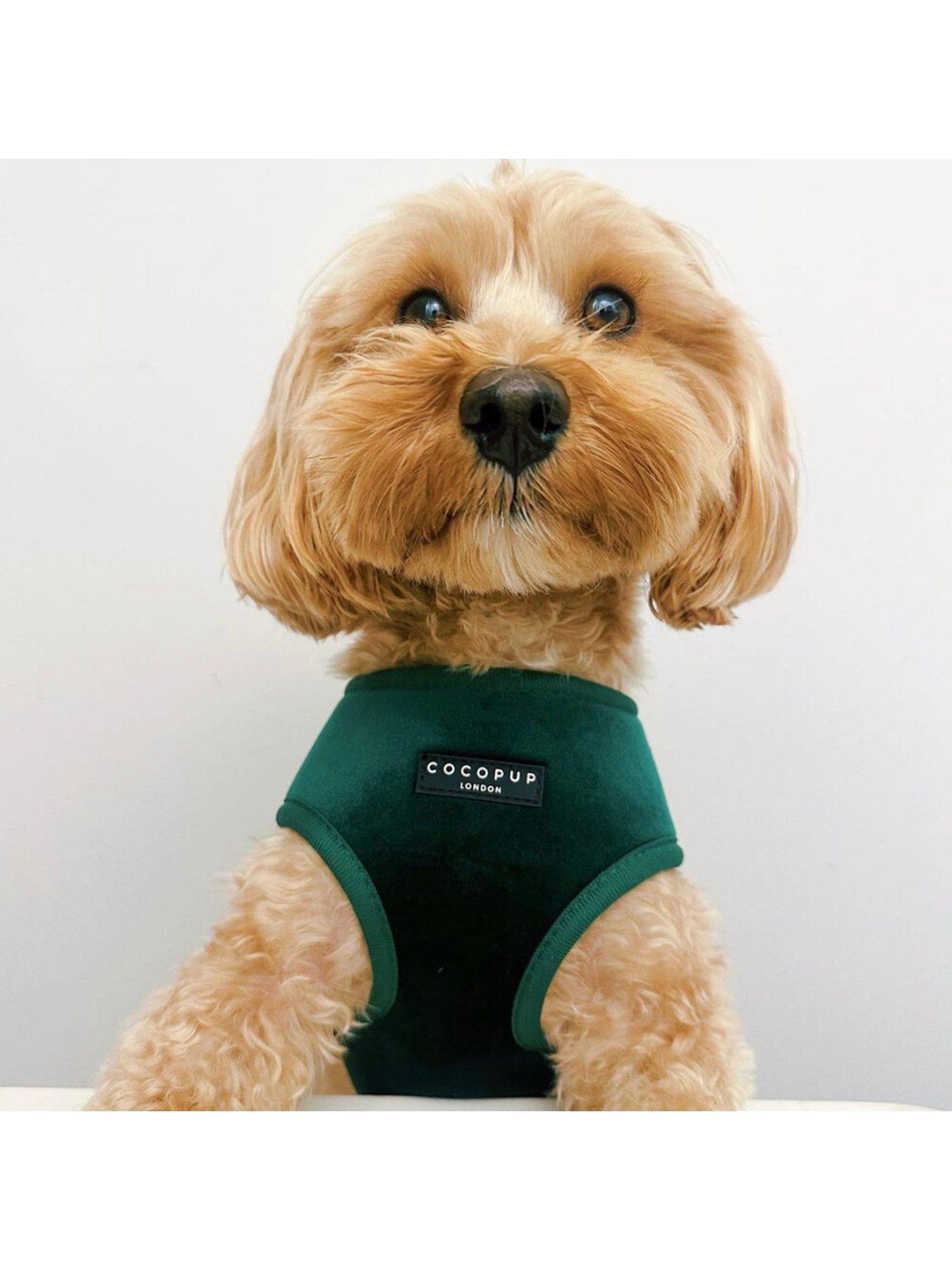 Image 5 of 6 of Cocopup Forest Green Harness S
