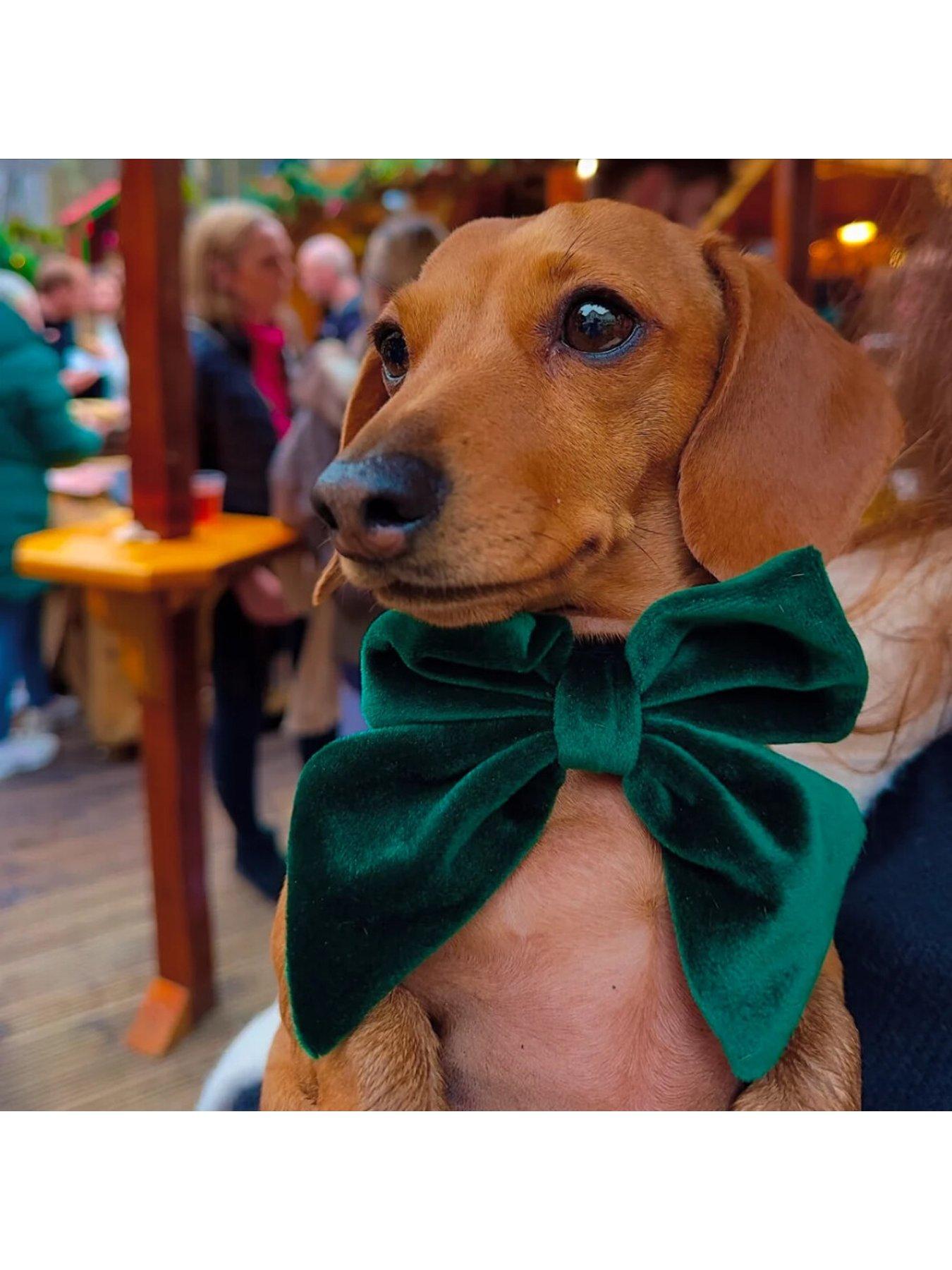 Image 2 of 2 of Cocopup Forest Green SAILOR BOW TIE