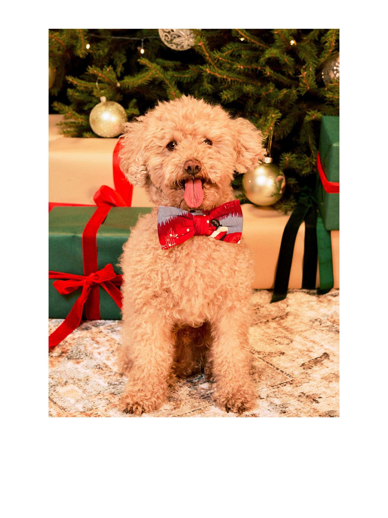 Image 1 of 4 of CHELSEA PEERS Pets Musical Santa&rsquo;s Songbook Print Christmas Bow Tie - Red