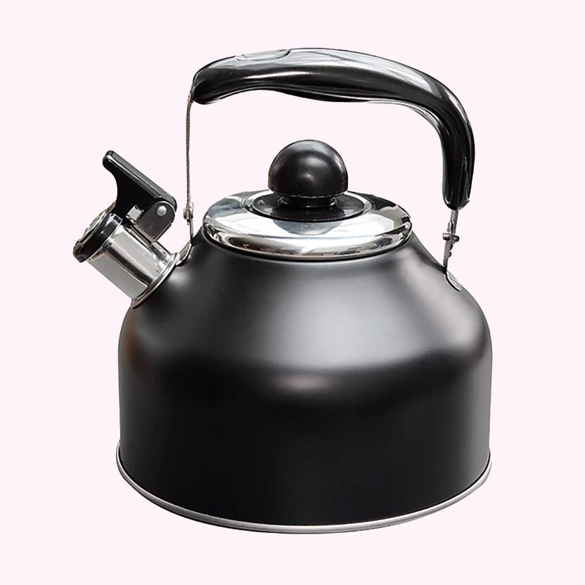 Close-up of the OUTDOOR REVOLUTION Induction Hob Whistling Kettle in a traditional kettle design and black finish. 