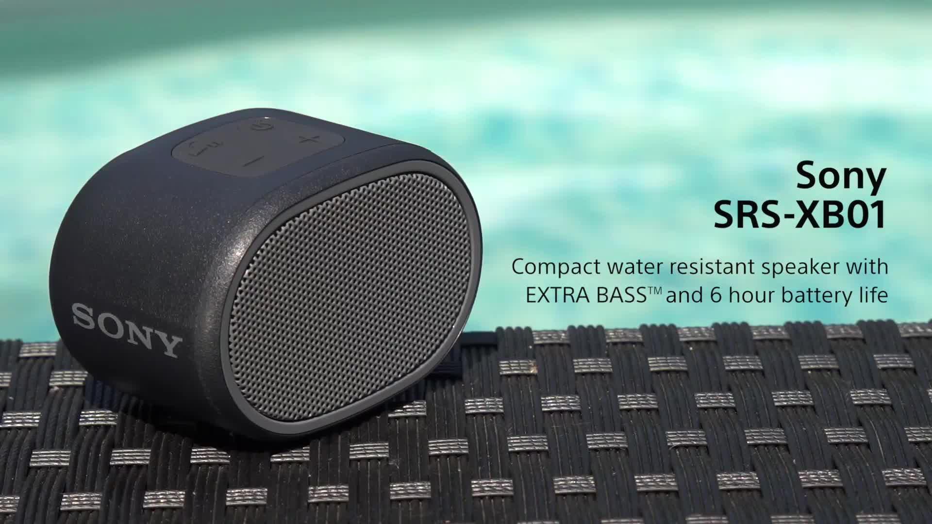 sony extra bass speaker srs xb01 review