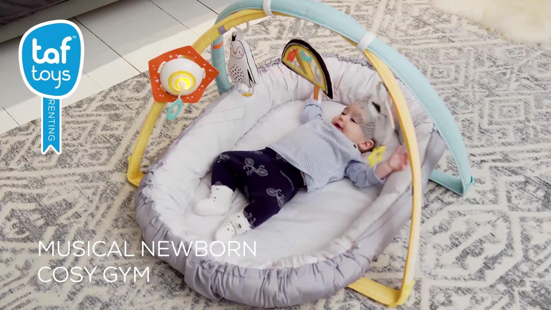 taf toys musical newborn nest & gym