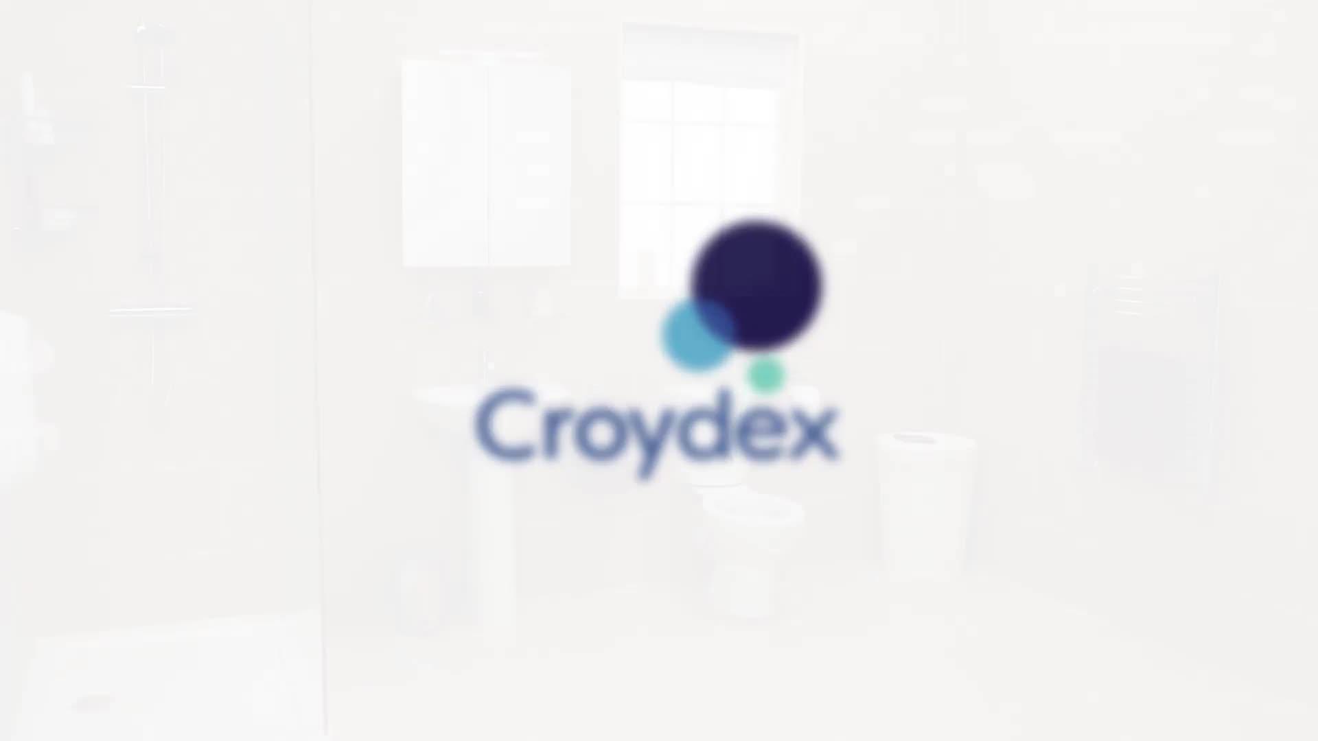 Image thumbnail 6 of 6 of Croydex Silver Quartz Flexi-Fix Toilet Seat