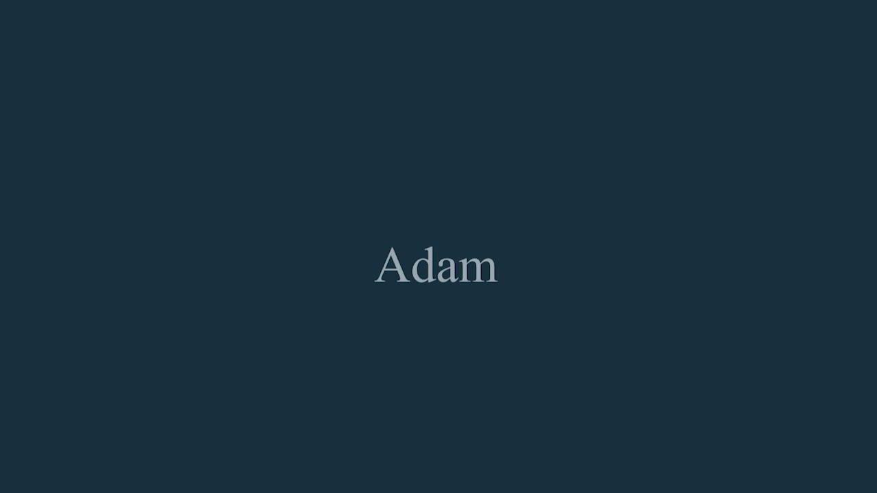 Image thumbnail 8 of 8 of Adam Fires & Fireplaces Adam Sahara Electric Inset Media Wall Fire with Remote Control, 1250mm