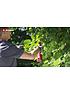 Video of einhell-pxc-cordless-pruning-shears-ge-ls-18-li-solo-18v-without-battery