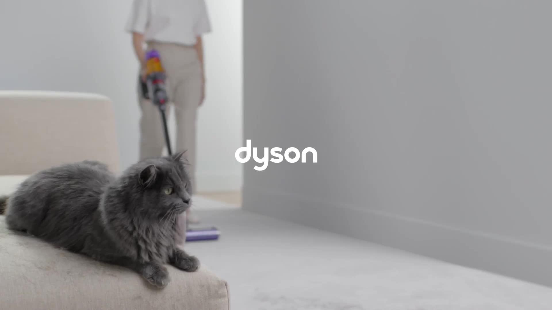 Real Mom Product Reviews: Dyson Cordless V12 - Milk Drunk