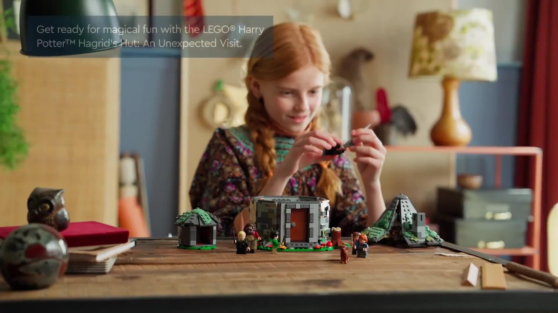 Image thumbnail 8 of 8 of LEGO Harry Potter Hagrid&rsquo;s Hut: An Unexpected Visit 76428