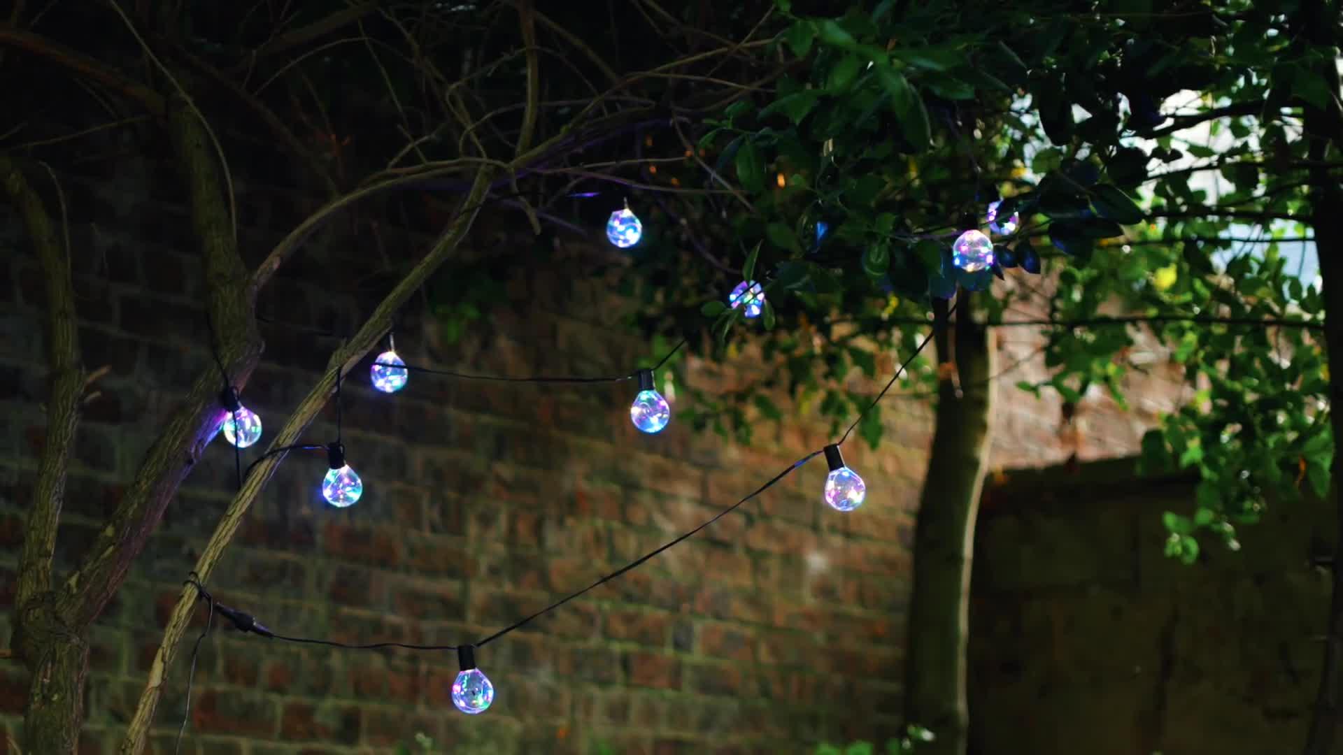 Image thumbnail 3 of 3 of Smart Garden Connectable Firefly Festoon Lights multi x10