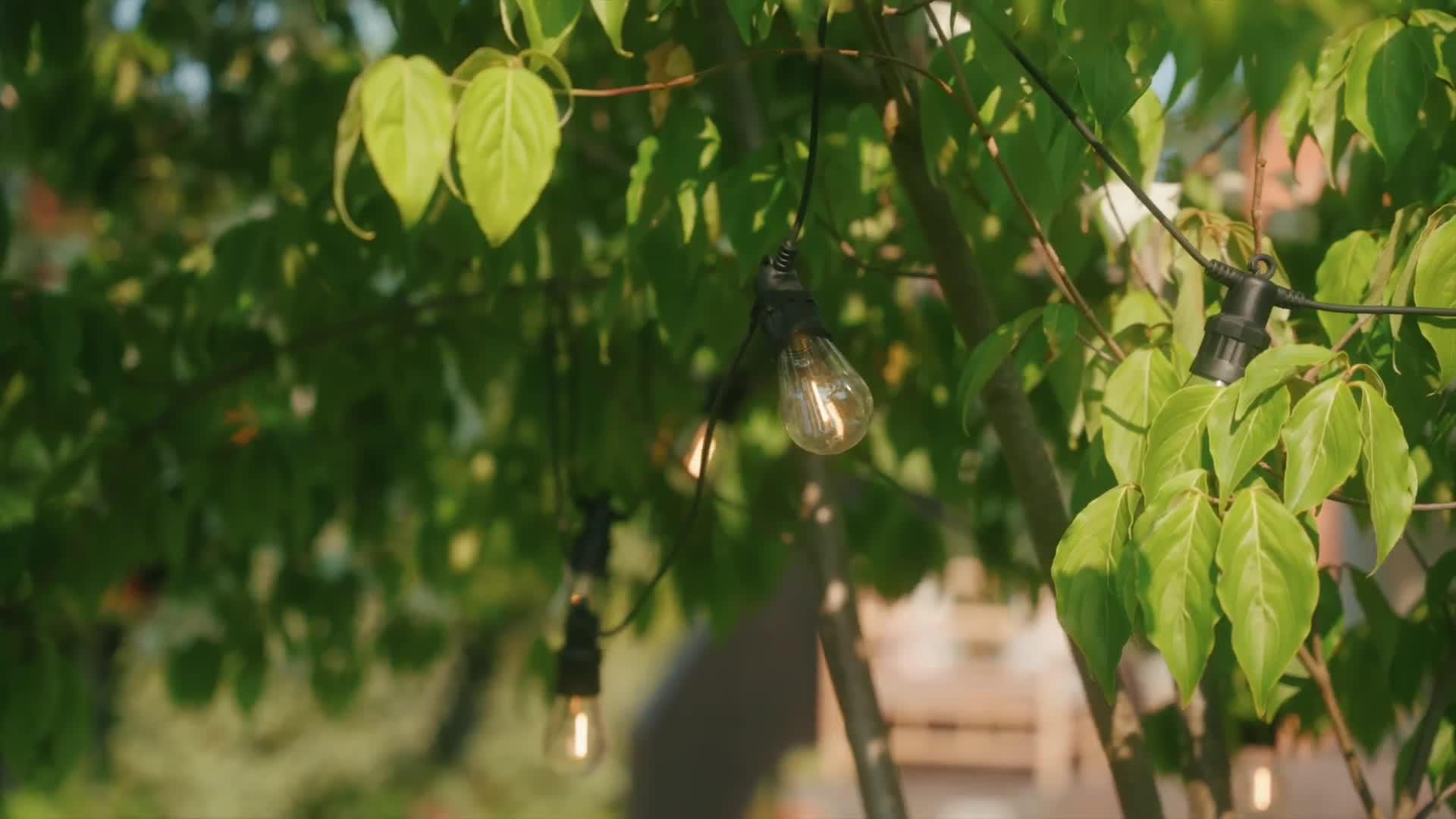 Image thumbnail 4 of 4 of Smart Garden Vintage Festoon Lights - Warm White - Set of 10