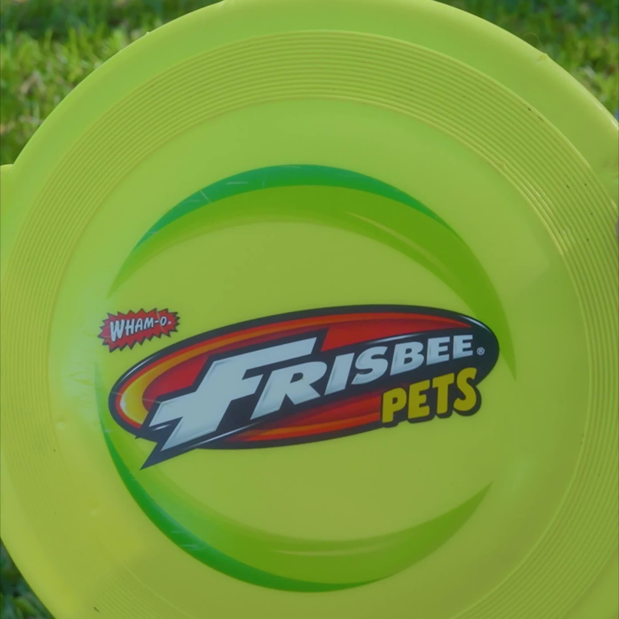 Image thumbnail 5 of 5 of Wham-O Frisbee Whizzbee - The Original Fetch Flyer - Flying, Whistling, Floatable Disc Dog Toy