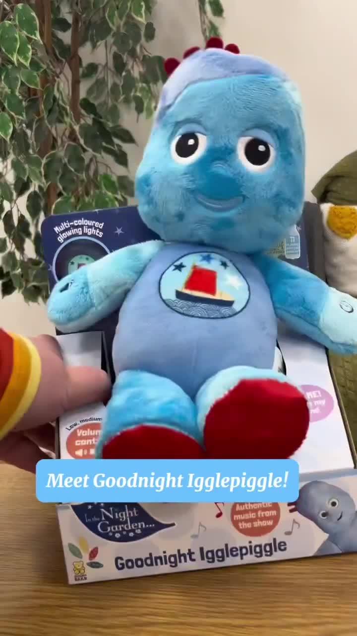 Image thumbnail 8 of 8 of In The Night Garden Goodnight Igglepiggle