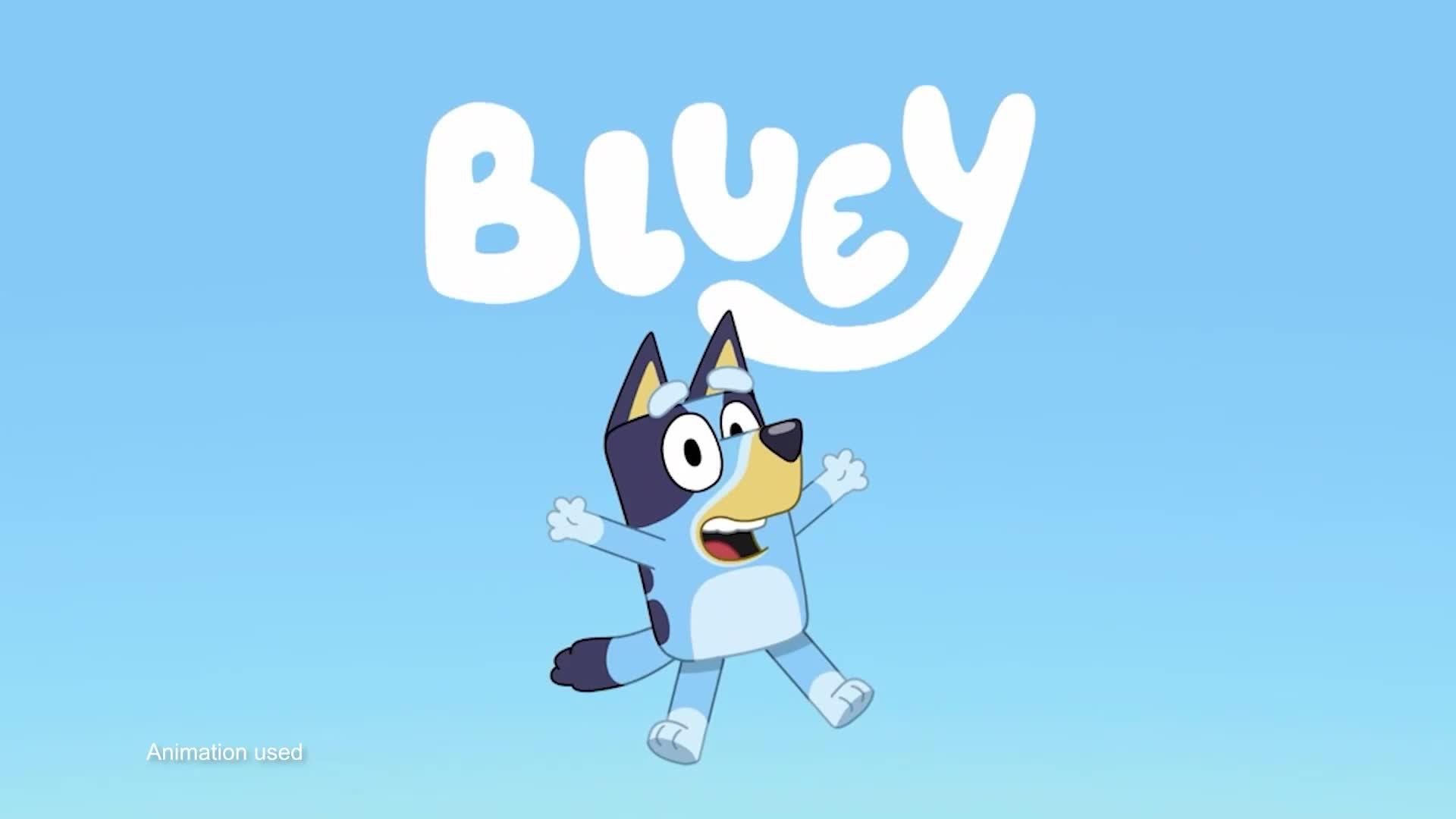 Image thumbnail 8 of 8 of Bluey Supermarket Playset