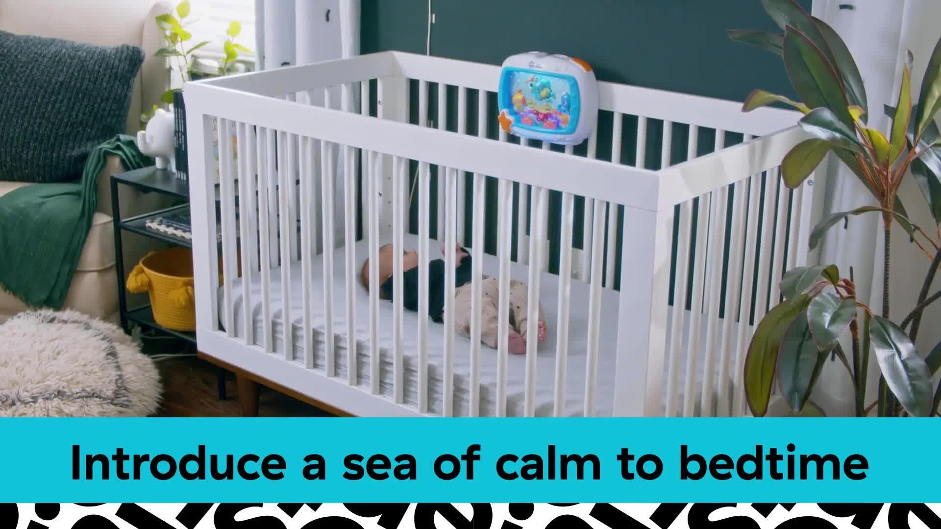 Image thumbnail 8 of 8 of Baby Einstein Sea Dreams Soother Sleep Soother