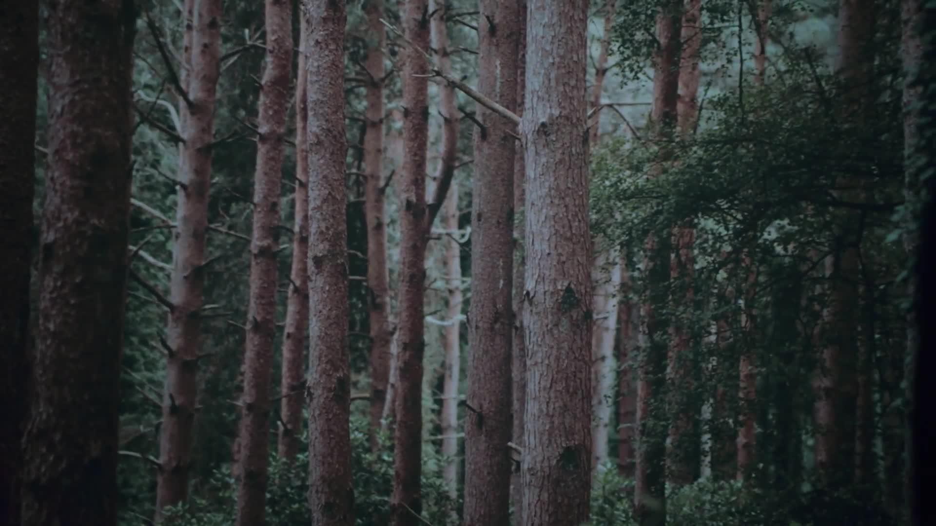 Image thumbnail 6 of 6 of Nothing Headphone (1)