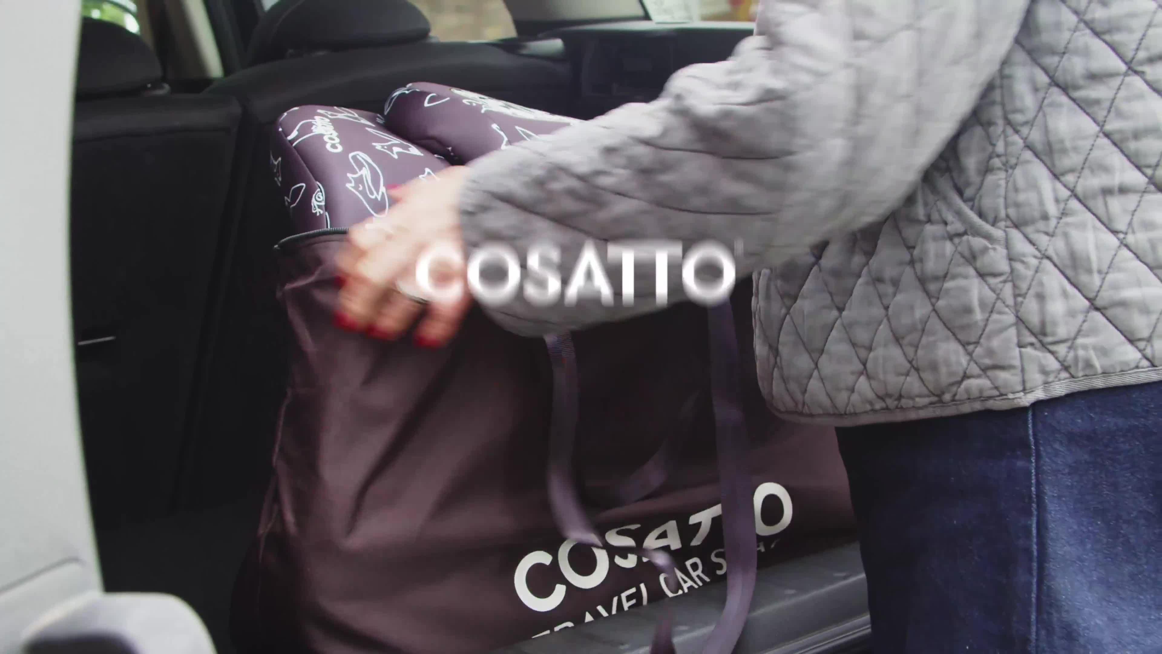 Image thumbnail 8 of 8 of Cosatto Ninja i-Go R129 Folding Travel Car Seat - Cherry Pie