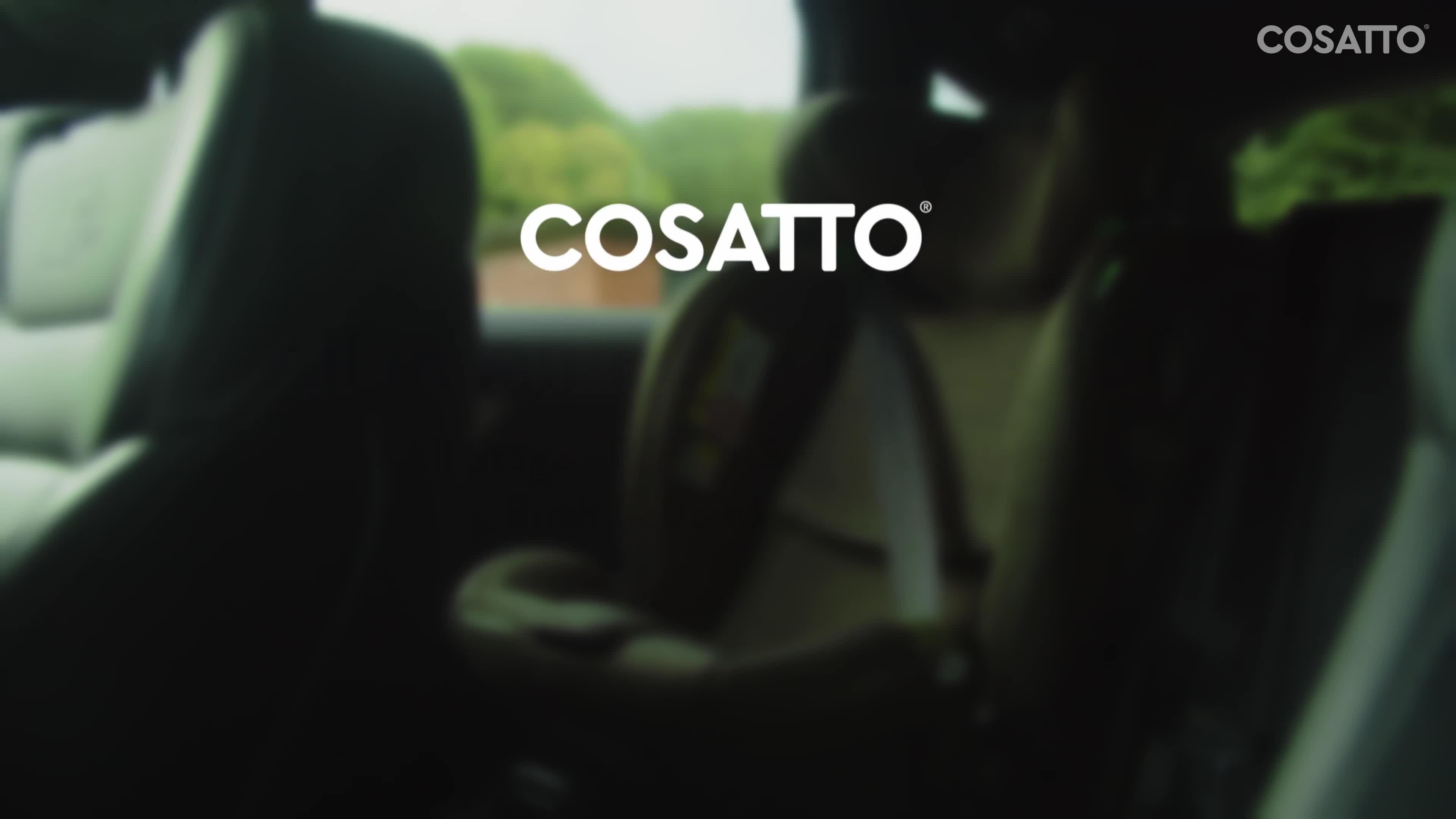 Image thumbnail 8 of 8 of Cosatto All in All Extra i-Size 360 Car Seat - Wildwood