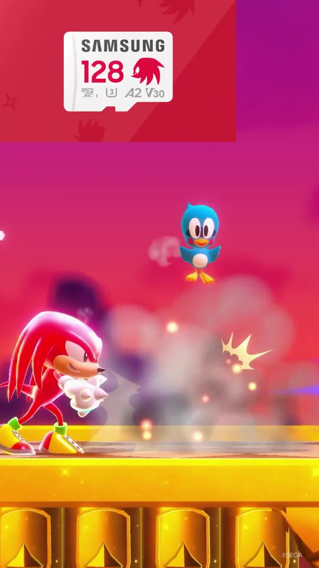 Image thumbnail 8 of 8 of Samsung Sonic Pro Plus MicroSDXC 128GB